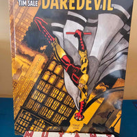 Jeph Loeb & Tim Sale DAREDEVIL Gallery Edition DM Variant HC