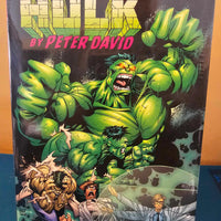 INCREDIBLE HULK BY PETER DAVID OMNIBUS VOL. 4 - DM Variant