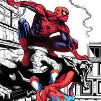 Spider-Boy #1 - Campana Local Comic Shop Day Variant