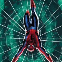 The Amazing Spider-Man #25 - Cassaday Variant