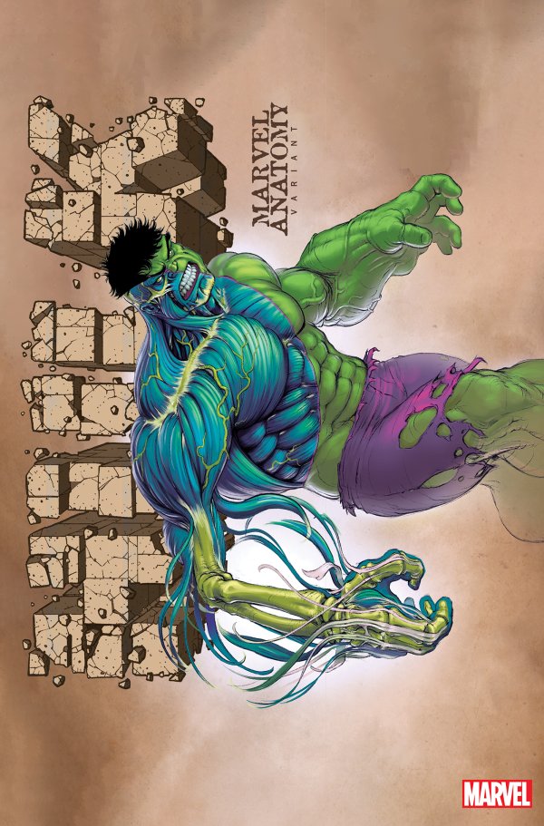 Hulk #11 - Lobe Marvel Anatomy Variant