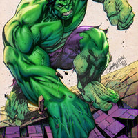 Hulk #7 - Campbell Variant