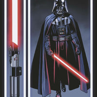 STAR WARS DARTH VADER #24 SPROUSE CHOOSE YOUR DESTINY