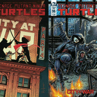 TEENAGE MUTANT NINJA TURTLES #96 FULL SET (Covers A & B) ***RED HOT!!*** - Mutant Beaver Comics