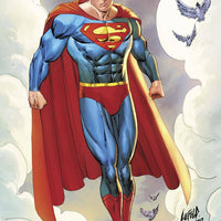 SUPERMAN #8 Liefeld Variant - Mutant Beaver Comics