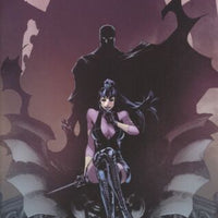 PUNCHLINE: THE GOTHAM GAME #4 COVER B